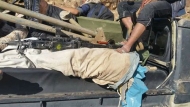 صورة من الارشيف
