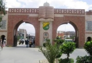 نقابة تدريس جامعة صنعاء تعلن بدء فعاليات الإضراب