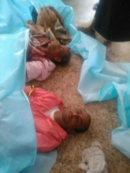  ابين..مسلحون يعدمون25جندياً في احور وتنظيم القاعدة ينفي صلته بالعملية 