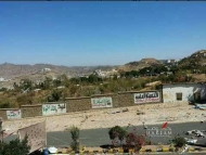 صورة من الارشيف
