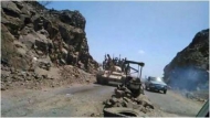 صورة من الارشيف