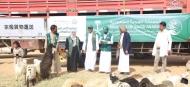 مركز الملك سلمان يمكن اقتصاديا 50 أسرة نازحة فقدت معيلها في الجوف