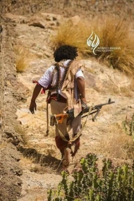 صورة ارشيف