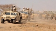 صورة من الارشيف