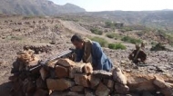 صورة من الارشيف