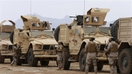 صورة من الارشيف