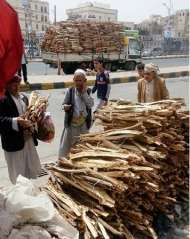 انتعاش تجارة الحطب وأسعاره تقفز %300