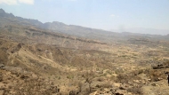 صورة من الارشيف